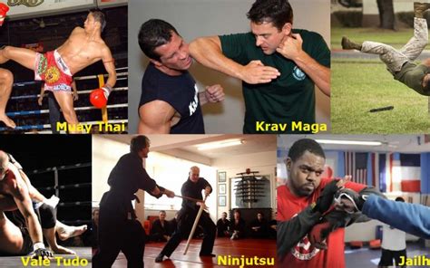 What Is the Most Lethal Martial Art: A Detailed Exploration of Various Views